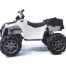 Детский квадроцикл Grizzly Next White 4WD с пультом управления 2.4G - BDM0909